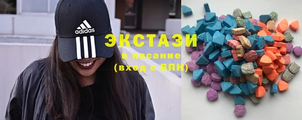 стаф Арсеньев