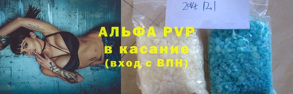 хмурый Аркадак