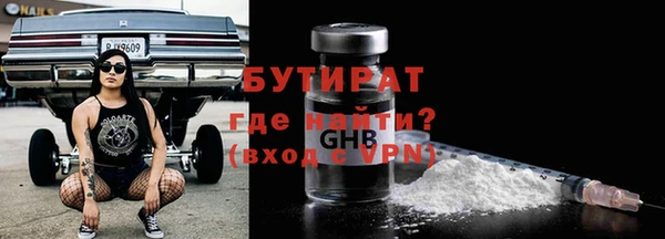 хмурый Аркадак
