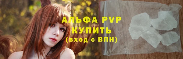 стаф Арсеньев