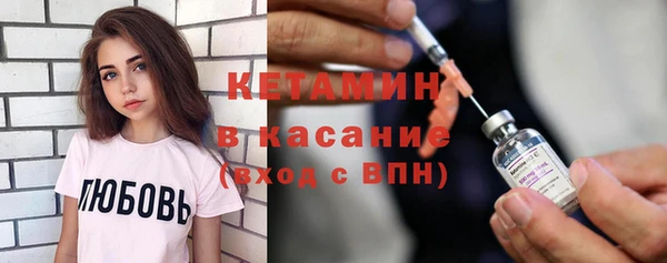 хмурый Аркадак