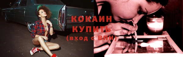 хмурый Аркадак