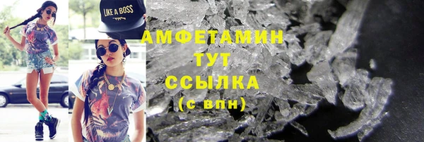 хмурый Аркадак