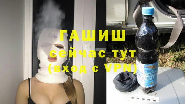 хмурый Аркадак