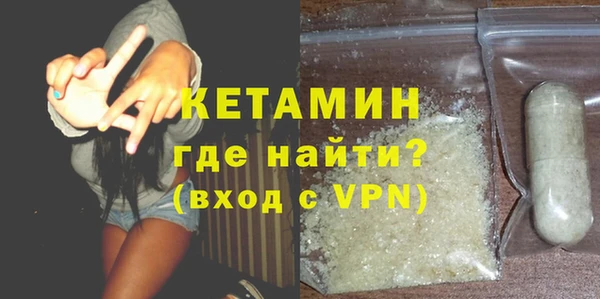 хмурый Аркадак